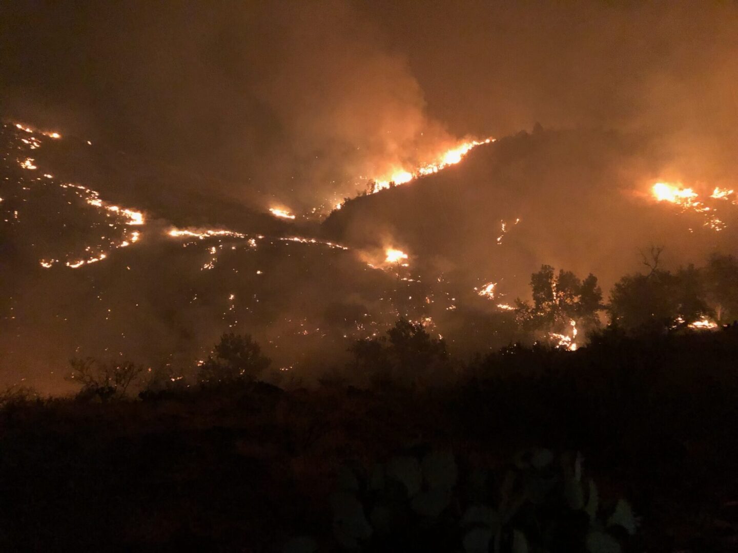 7A2C5CCD-6CA5-4104-B91A-B4F9D76C34C3